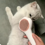 Peine Cepillo para Mascotas