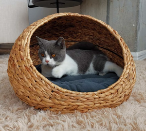 Cama casa para gatos