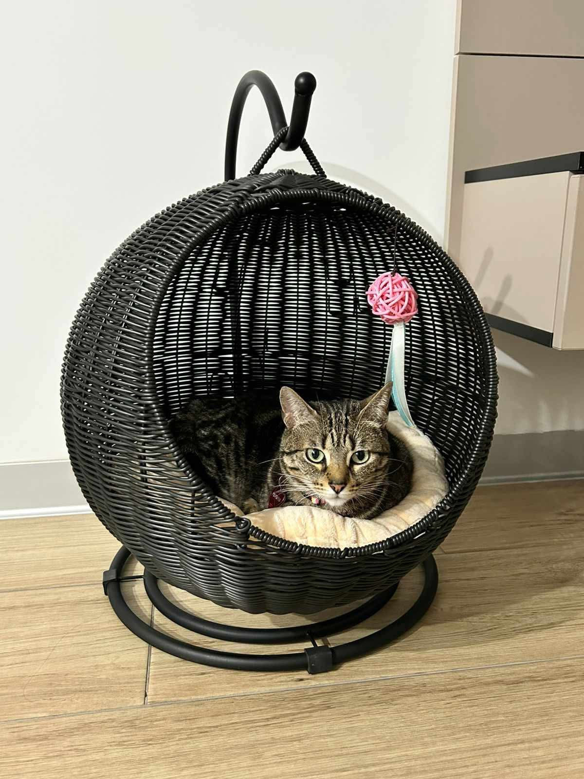 Cama casa para gatos